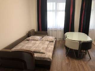 Апартаменты Apartment 18 Mynaiska 1 room Ужгород Апартаменты с 1 спальней-3